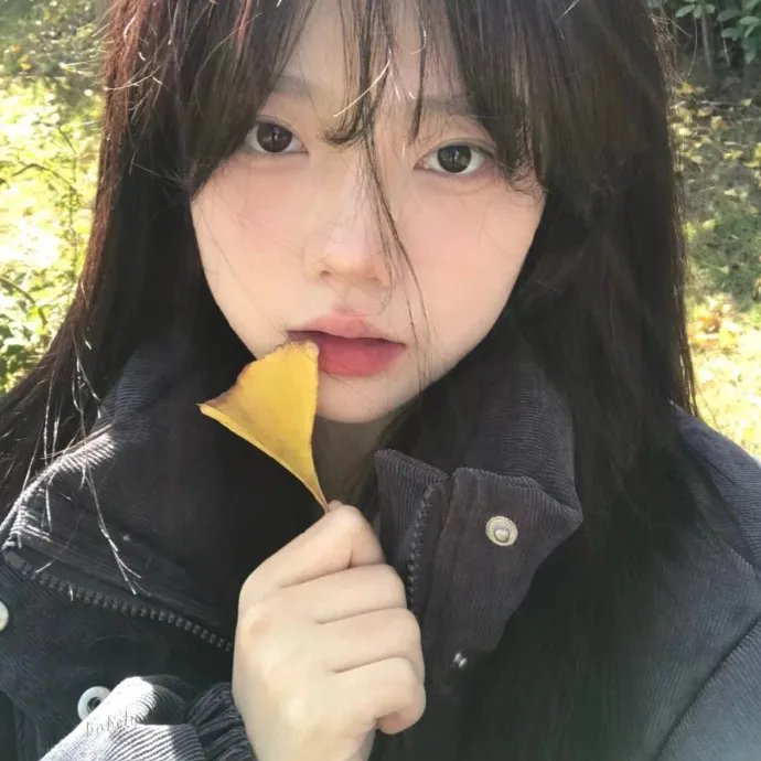 牵牛的夏天